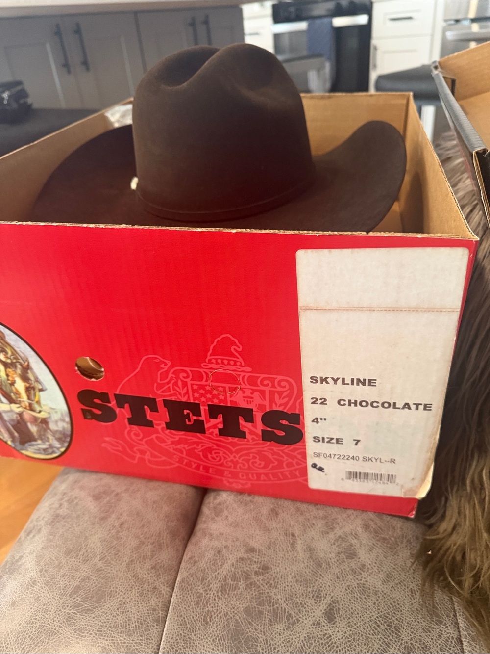 Stetson skyline chocolate Western cowboy Hat with silver hat buckle - Picture 11 of 16